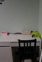Blk 208A Clementi Gateway (Clementi), HDB 4 Rooms #563715261